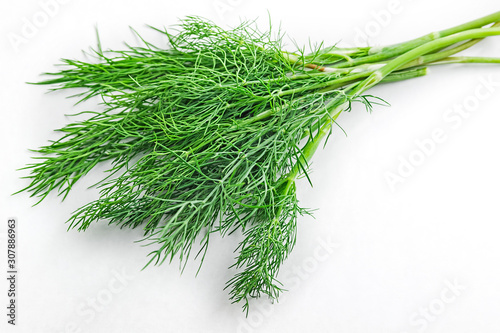 Fotobehang Dill weed. Fresh dill greens. Fennel isolated on white