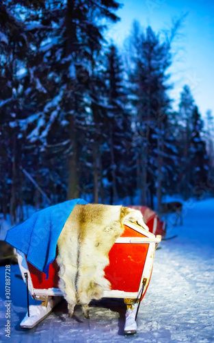 Reindeer sleigh in night Finland in Rovaniemi at Lapland farm. Christmas sledge at evening winter sled ride safari with snow Finnish Arctic north pole. Fun with Norway Saami animals. © Roman Babakin