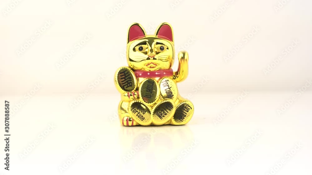 chat porte bonheur japon