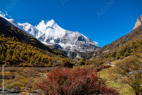 mountains in autumn