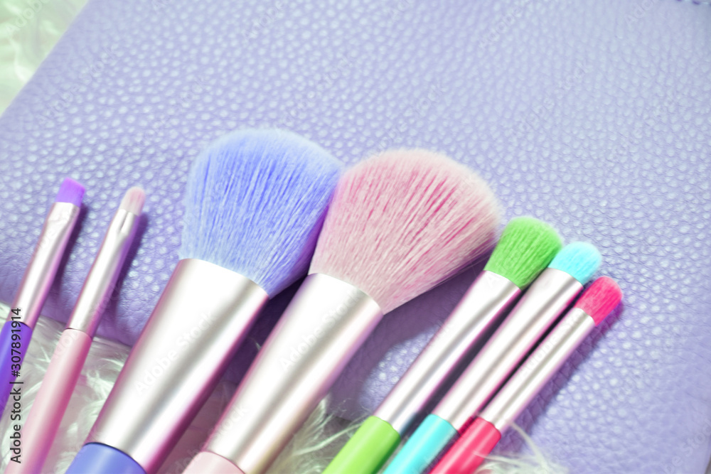 Fototapeta premium cute brush with purple bag
