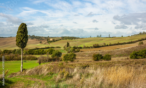 Tuscany Typical  Farmland and Countryhouses Landscape photo