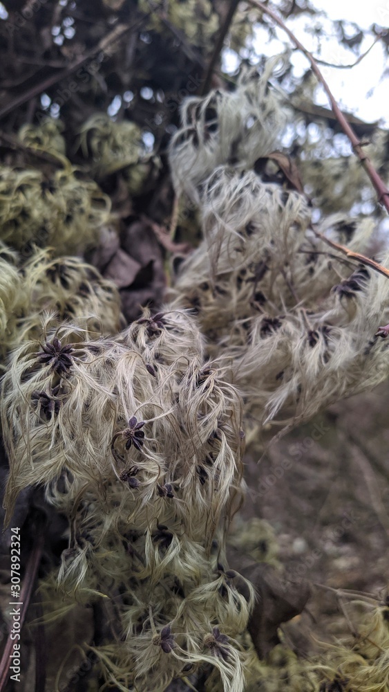 natur natur