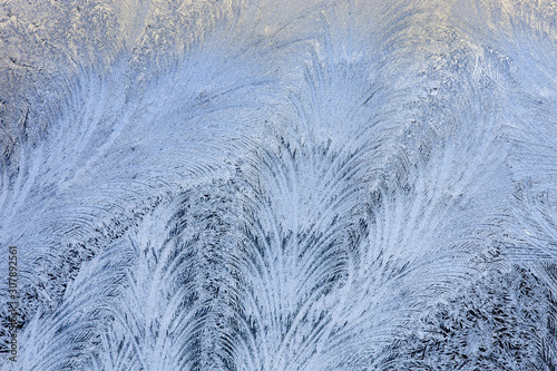 Frost on Window Glass