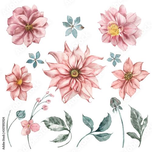 Set of watercolor dahlia flowers, leaves and sprigs of eucalyptus for wedding design invitations. Flower shop logos.