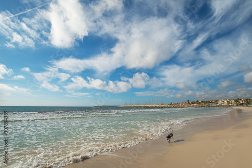 Landscape coast dog on the beach of the Mediterranean Sea in Spain