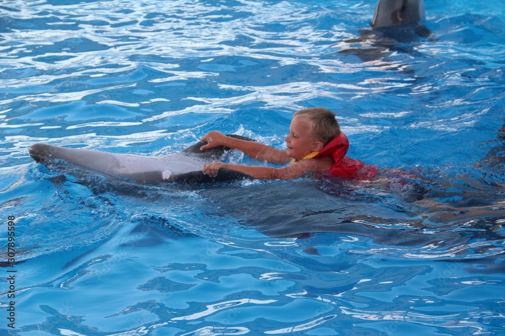 Boy on a Dolphin swims in the pool