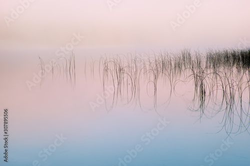 Reeds and Reflections Moccasin Lake at Sunrise