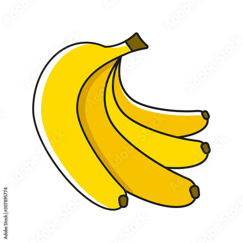 Banana Fruit Close Up. Bunch Of Bananas Isolated On White Background. Qualitative Vector About Banana, Agriculture, Fruits, Cooking, Gastronomy, Etc