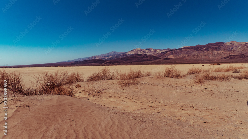 Desert near Panamint Springs in Death Valley National Park Desert near Panamint Springs in Death Valley National Park