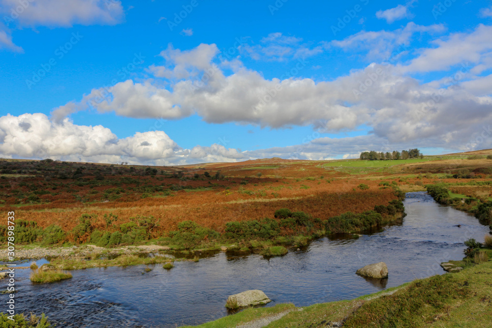 Cadover Landscape Dartmoor