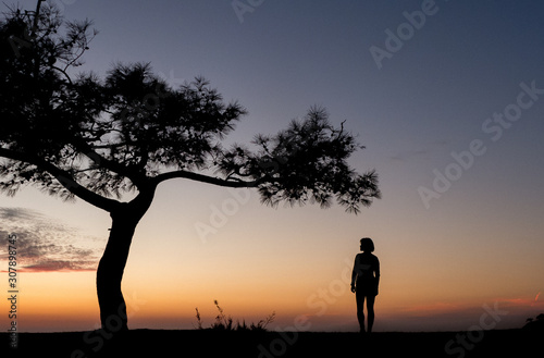 a woman's silhouette next to a tree at dawn. Picture silhouette, woman standing under a tree