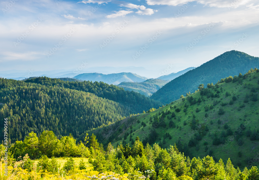 View of green valley with hills and woods at sunset in Tara national park in Serbia