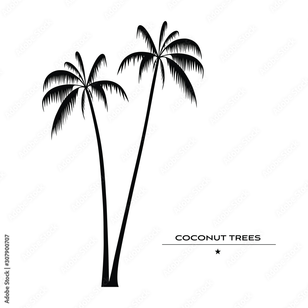 palm tree silhouette on white background