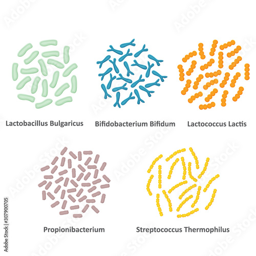 Probiotic bacteria illustration set. Vector.