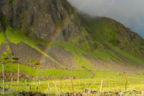 Lofoten landscape