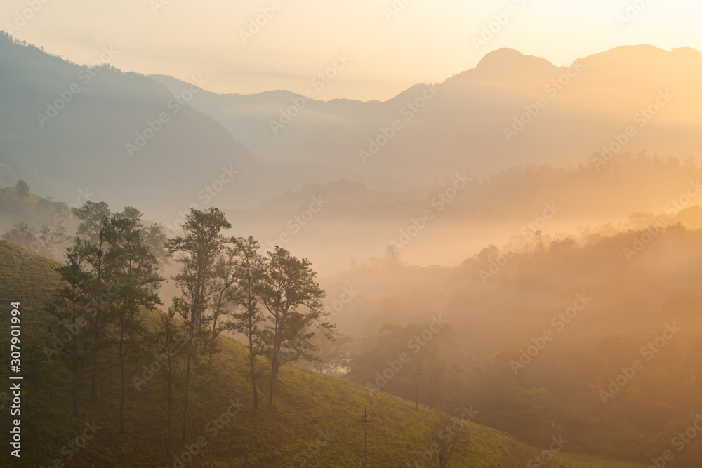 Panoramic view of forest and mountains, summer landscape with foggy hills at sunrise