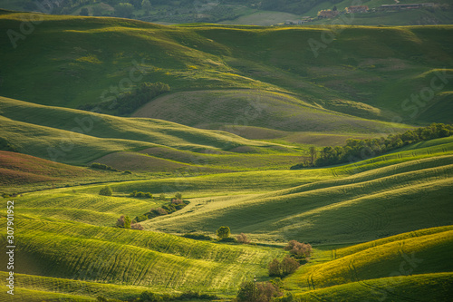 Zielone łąki w Toskanii, Włochy