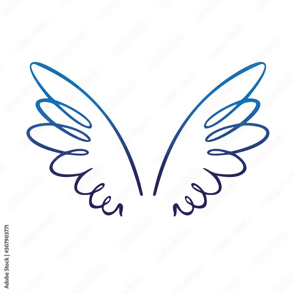Pair of spread eagle or angel wings Pair of spread eagle or angel wings