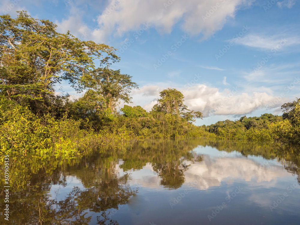 Amazonia Amazonia