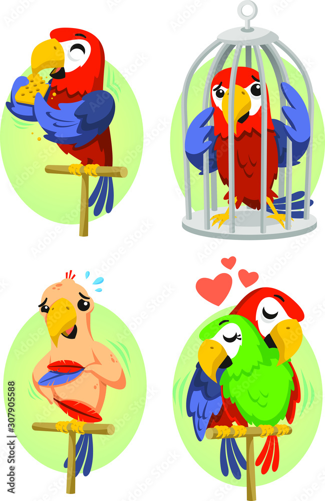 Obraz premium parrot set