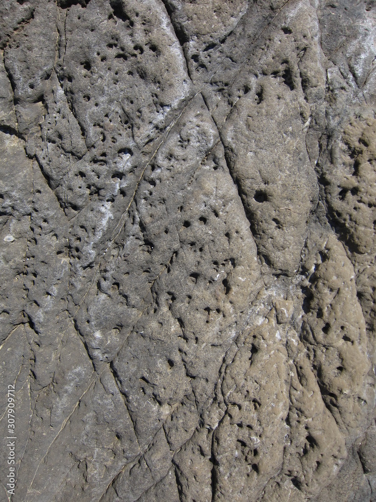 Limestone rocks with salt near Mediterranean sea Limestone rocks with salt near Mediterranean sea