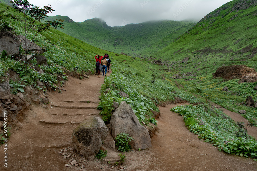 Mountains of Lima, Peru, in Pachacamac, Lomas de Lucumo. I walk with tourists and people. Mountains of Lima, Peru, in Pachacamac, Lomas de Lucumo. I walk with tourists and people.