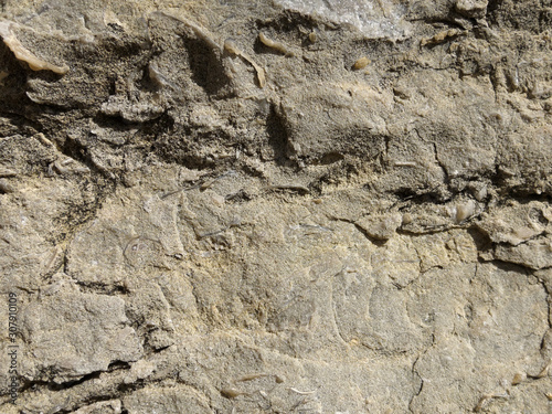Texture of a sedimentary limestone rock with cracks