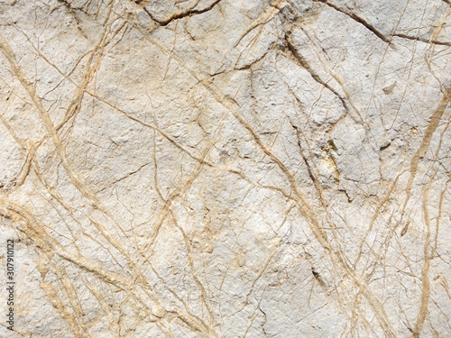 Texture of a sedimentary limestone rock with cracks and veins 