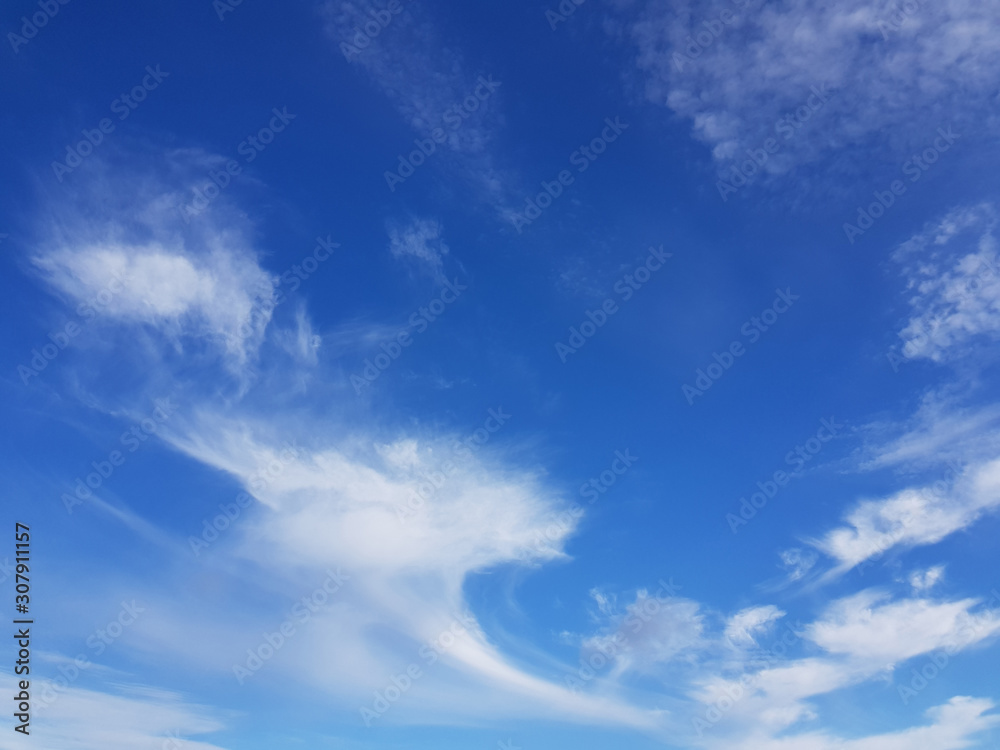 Cielo Cielo