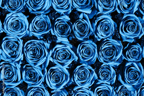 Flowers background. Roses bouquet  top view. Color of the year 2020 classic blue toned. Greeting card.