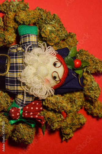 Christmas Santa Claus doll surrounded by dried cannabis flowers celebrating the new year  on red background