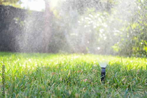 Irrigation of the Garden by Morning at Summer with Rain Sprinkler Head