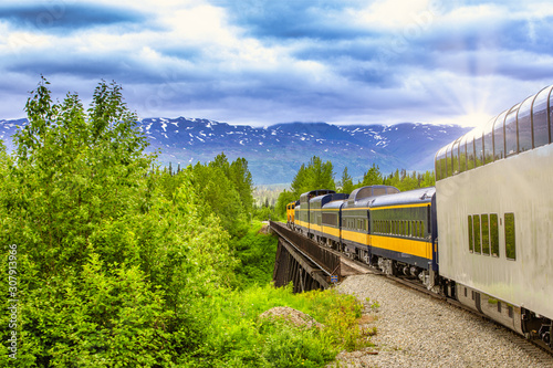Train going on a railroad track to Denali National Park Alaska photo