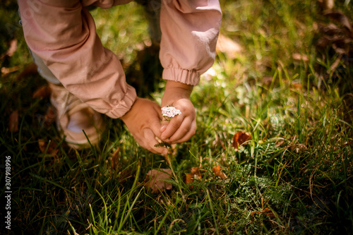 Little girl trying to pick a flower from the lawn in the park