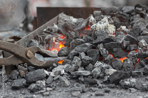 Horseshoe heating for forging. A blacksmith holds with large tongs in forge.