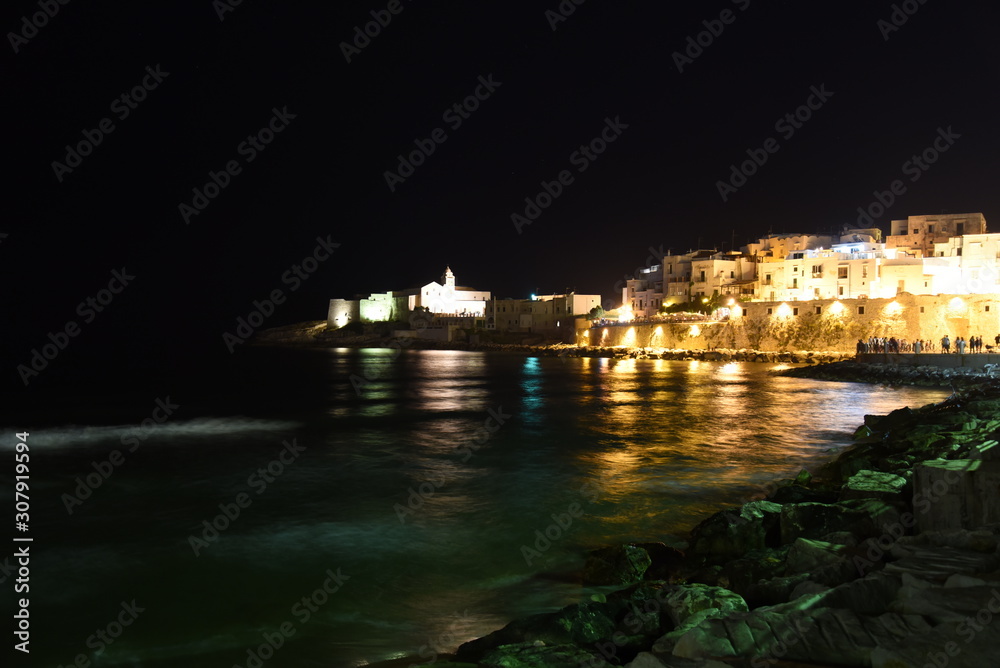 Vieste Seascape by Night With Illuminated Buildings