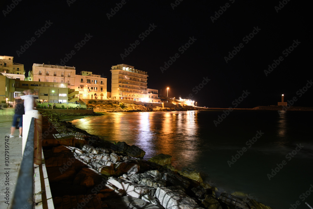 Vieste Seascape by Night With Illuminated Buildings