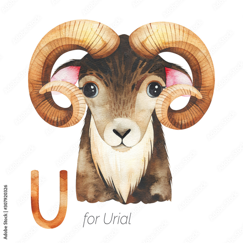 Watercolor Animals  letters with funny animals. Cute Urial  for U letter. Perfect for education, baby shower, children prints or room  decor, template cards, books and much more Stock Illustration | Adobe