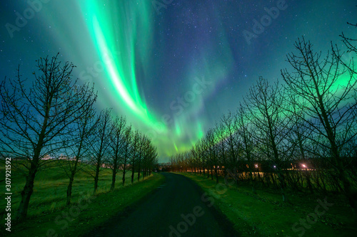 Northern lights  Aurora Borealis  in Iceland