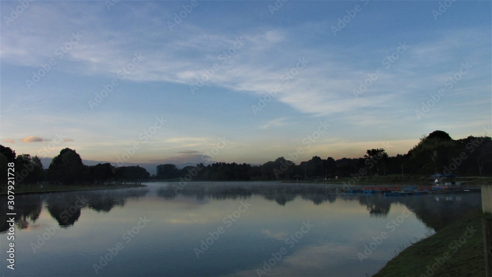 El reflejo de los árboles del bosque en el lago del parque al amanecer