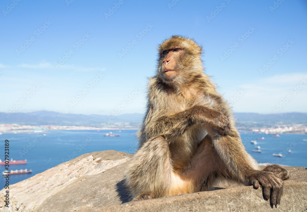 Naklejka premium Gibraltar, United Kingdom