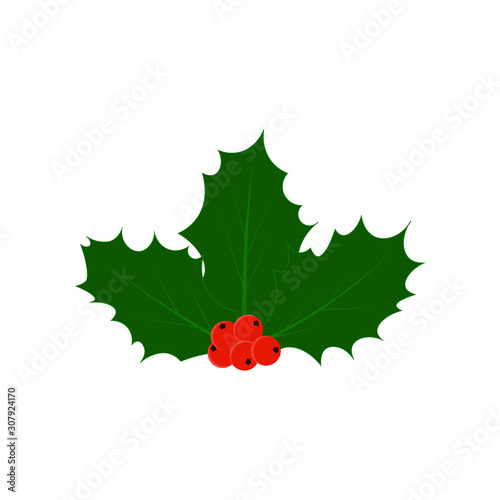 Holly berry icon. Holly berry Christmas sign. Vector illustration.