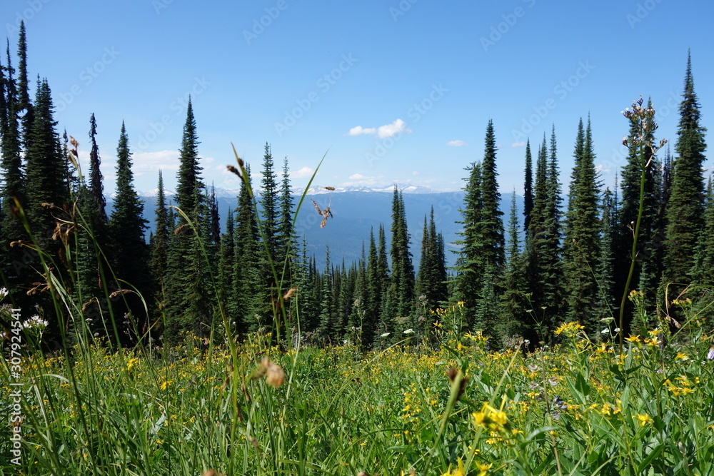 Fototapeta premium colombie britannique