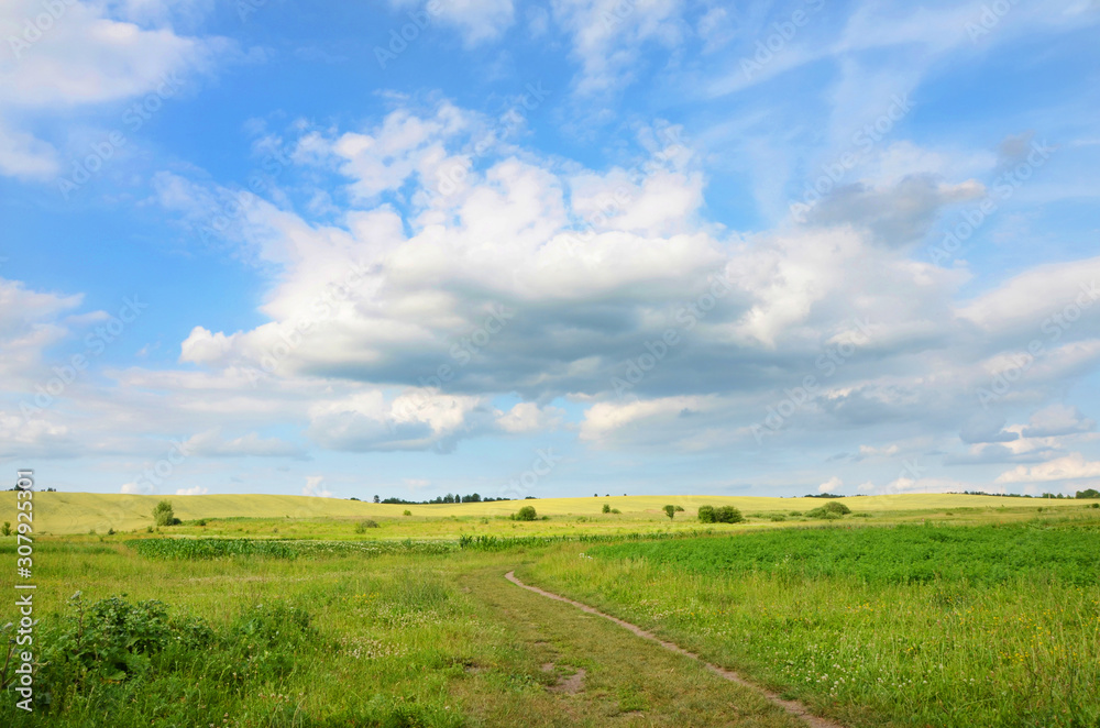 beautiful landscape with green meadows and blue sky 
