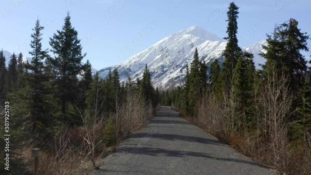 Aerial, rising, drone shot, over a road, surrounded by Alaskan spruce trees, in the Chugach state park, towards snow covered mountain peaks, on a sunny, autumn day, in Kenai Peninsula, Alaska, USA Aerial, rising, drone shot, over a road, surrounded by Alaskan spruce trees, in the Chugach state park, towards snow covered mountain peaks, on a sunny, autumn day, in Kenai Peninsula, Alaska, USA