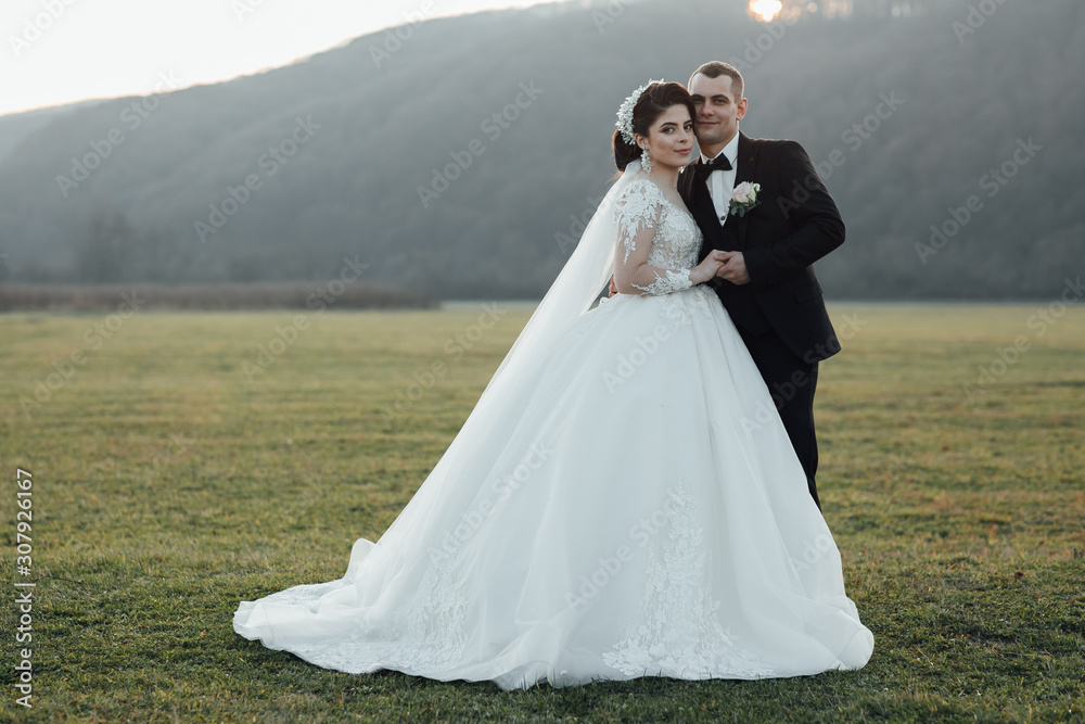 Happy newlywed couple. Beautiful bride and groom in a suit. Beautiful wedding couple, bride and groom, in love. Sensual portrait of a young wedding couple. Outdoor