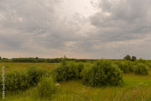 Natural scenery. A large wild meadow has a forest on the horizon. The weather is summer and cloudy. Ivanovo region, Russia.