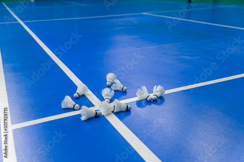 badminton blue court