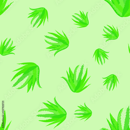 Seamless pattern of green leaves of aloe vera plant on a green background. Vector illustration, hand drawn.